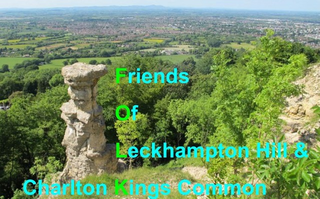 Friends of Leckhampton Hill and Charlton Kings Common