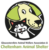 Cheltenham Animal Shelter
