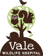 Vale Wildlife Hospital