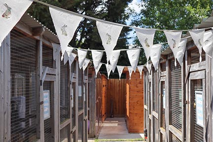 Rabbit facility at Cheltenham Animal Shelter