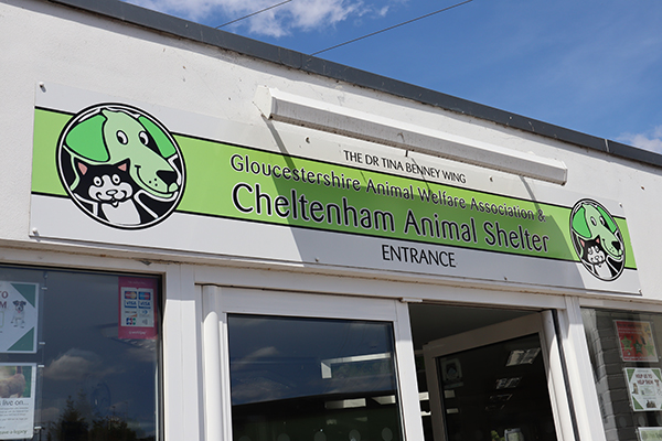 Cheltenham Animal Shelter